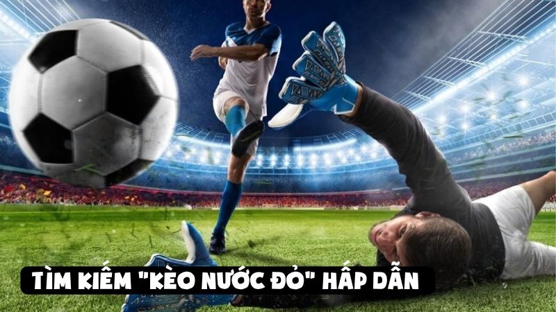 Tỷ Lệ Kèo Malaysia Là Gì? Luxshare Hướng Dẫn Cá Cược Bóng Đá