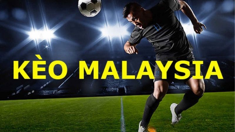 Tỷ Lệ Kèo Malaysia Là Gì? Luxshare Hướng Dẫn Cá Cược Bóng Đá