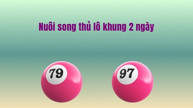 Cách Nuôi Song Thủ Lô Trong Khung 2 Ngày