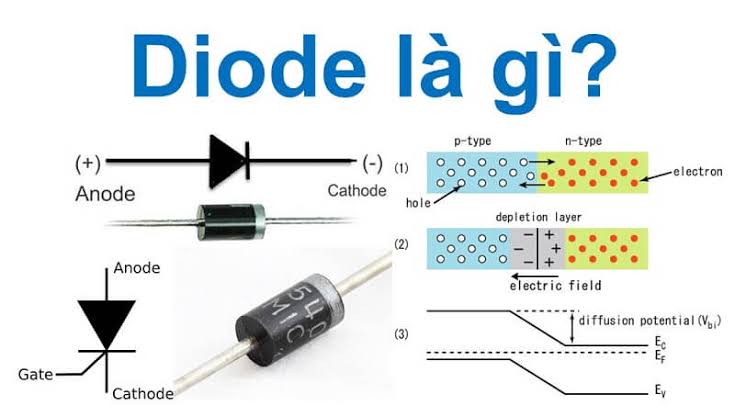 Diode là gì? Cấu tạo, nguyên lý và các loại diode phổ biến
